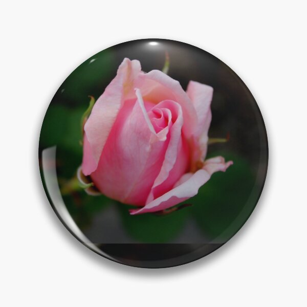 Item preview, Friendly Rose Bud designed and sold by KazM.