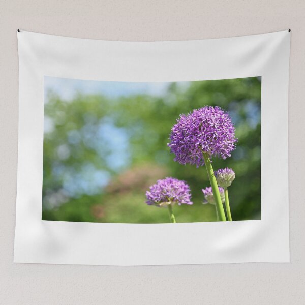 Item preview, Ornamental Onion flower in springtime designed and sold by goceris.