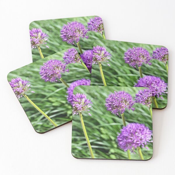 Item preview, Ornamental Onion flower nature background designed and sold by goceris.