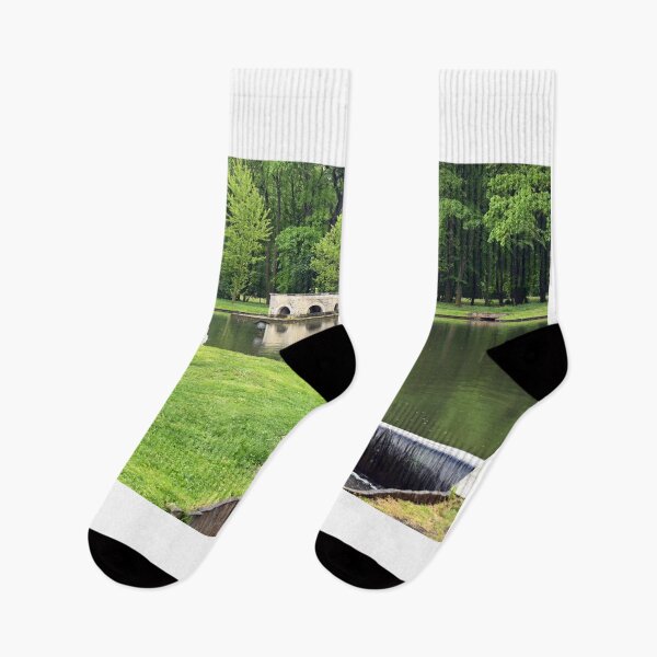 Item preview, Pond with swans in Laxenburg Park Austria designed and sold by goceris.