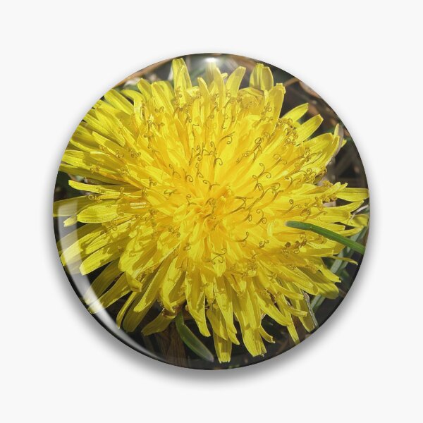 Item preview, Macro de diente de león designed and sold by Linda Walsh.