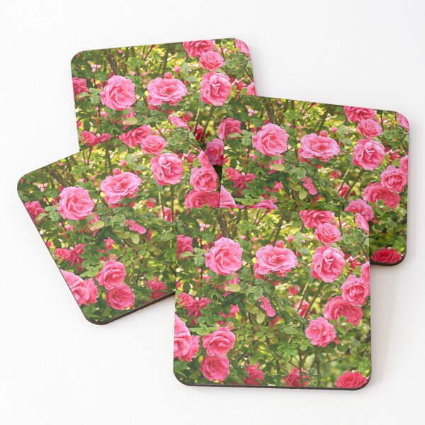 Item preview, Pink Roses in Volksgarten Vienna Austria designed and sold by goceris.