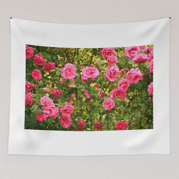 Item preview, Pink Roses in Volksgarten Vienna Austria designed and sold by goceris.