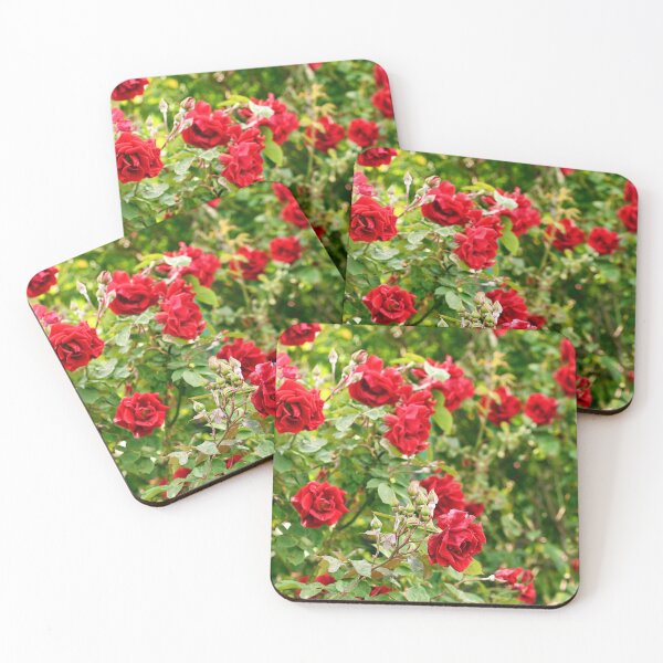 Item preview, Red roses in Volksgarten Vienna Austria designed and sold by goceris.