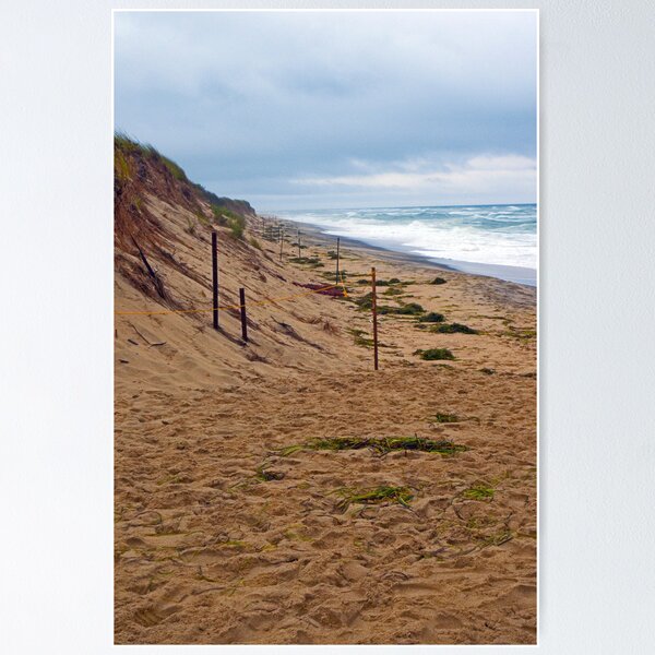 Item preview, Stormy Afternoon On South Beach designed and sold by phil decocco.