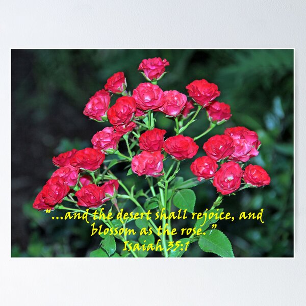 Artikelvorschau, "Isaiah 35:1 "  by Carter L. Shepard entworfen und verkauft von The Storehouse Projects.