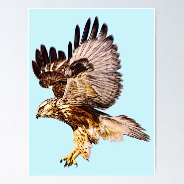 Item preview, the art of falconry designed and sold by astroturph.