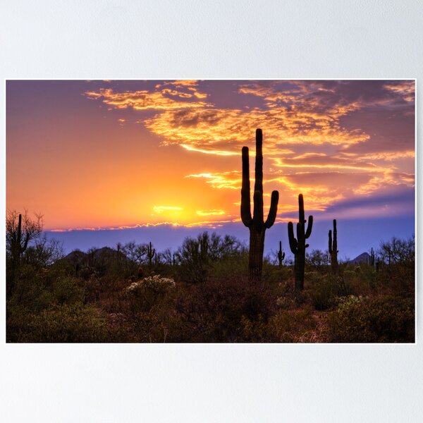 Item preview, Southwest Desert Sunset  designed and sold by Saija  Lehtonen.