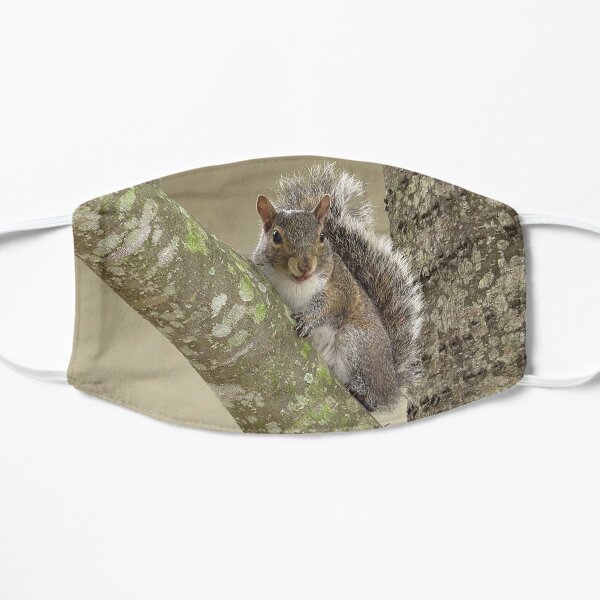 Squirrel in Tree Mask