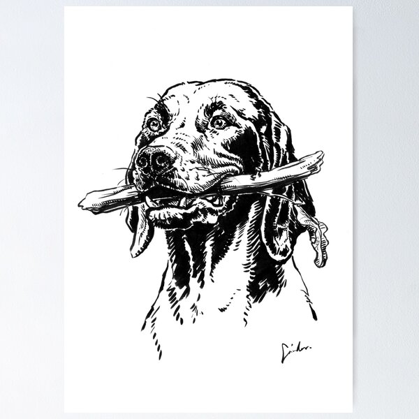Item preview, Vizsla dog drawing designed and sold by SakalDesign.