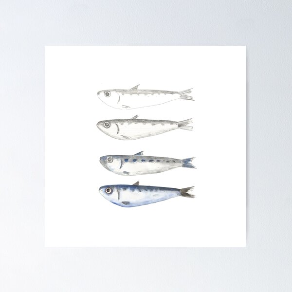 Aperçu de l'œuvre Poisson Sardine créée et vendue par RayLagerfeld.