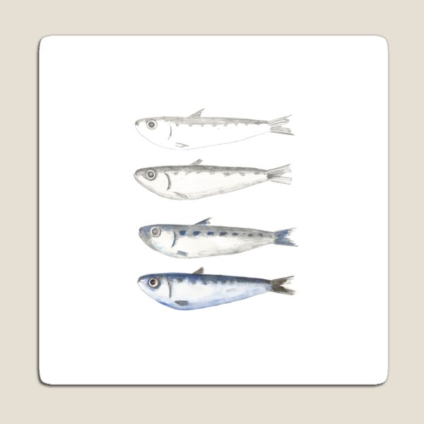 Item preview, Sardine  Fish designed and sold by RayLagerfeld.