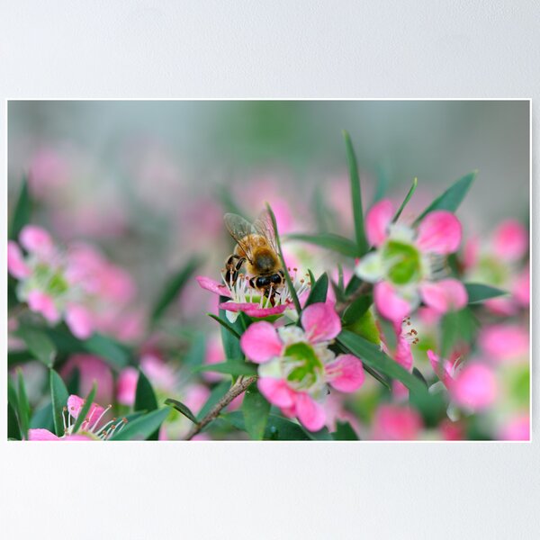 Item preview, Abeja bonita designed and sold by Olivelle.