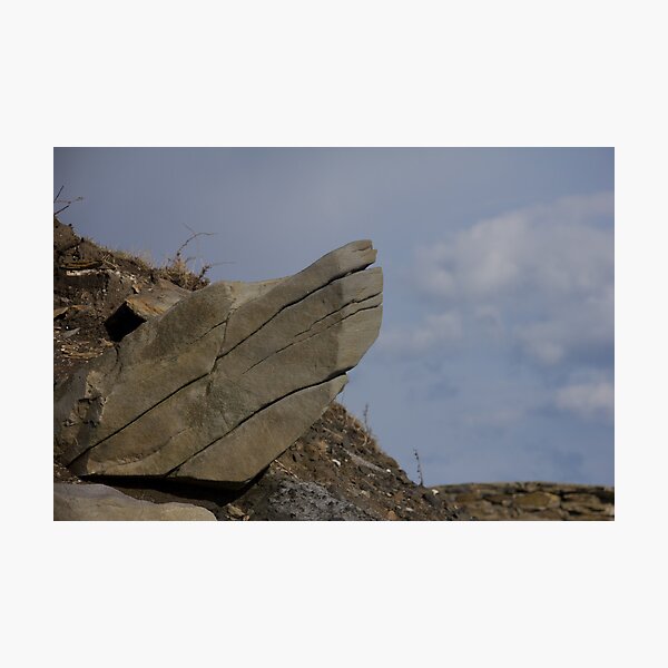 Item preview, Wolf Rock designed and sold by jeffreynelsd.