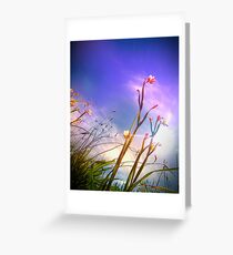Winter Blossoms Greeting Card