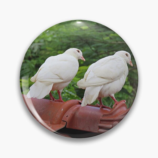 Item preview, White Pigeons on Chinese Eaves designed and sold by Linda Walsh.
