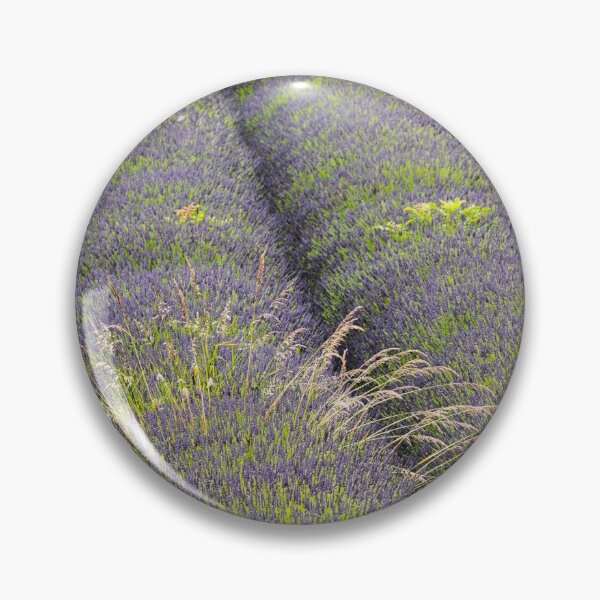 Artikelvorschau, Lavender Rows entworfen und verkauft von bitm2007.