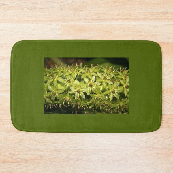 Item preview, Pineapple Lily designed and sold by coffeebean.
