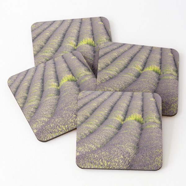 Item preview, Rows of Lavender designed and sold by bitm2007.