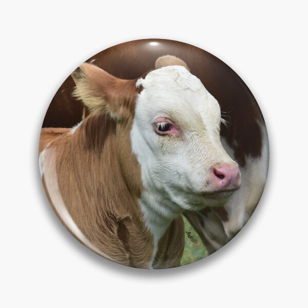Item preview, Calf designed and sold by Glineur.
