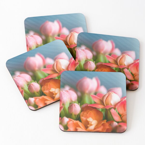 Item preview, Beautiful Kalanchoe Blossfeldiana orange flowers with pink buds in macro designed and sold by Grégory DUBUS.
