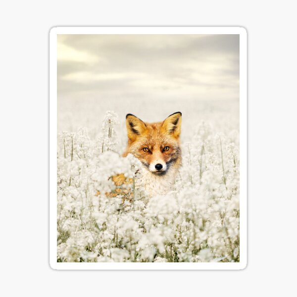 Item preview, Cute fox in a flower field designed and sold by Sia-Is.