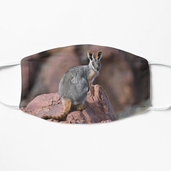 Yellow-footed Rock Wallaby 3 Flat Mask