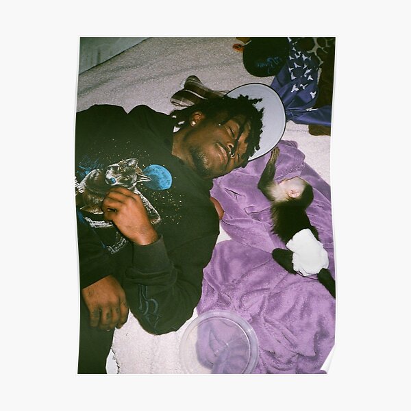 Lil Uzi Sleep Poster