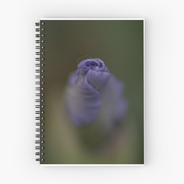 Item preview, Iris - my garden, Ottawa, Ontario designed and sold by Tracey  Dryka.