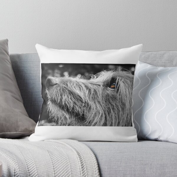 Shaggy Lurcher Throw Pillow
