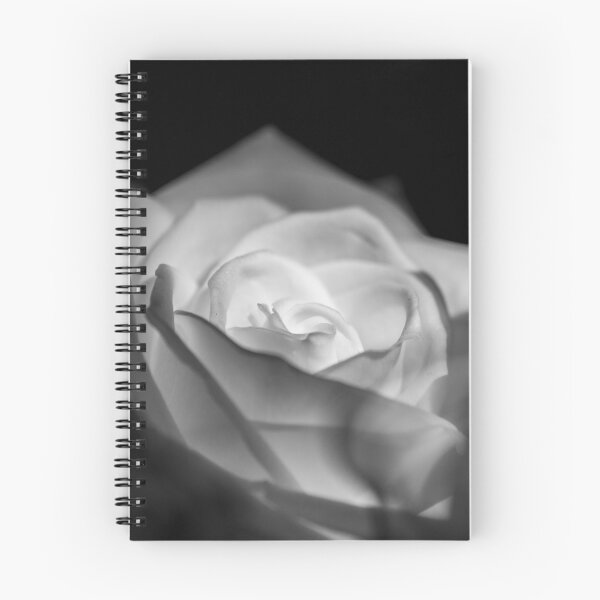 Item preview, rose designed and sold by Tim Münnig.