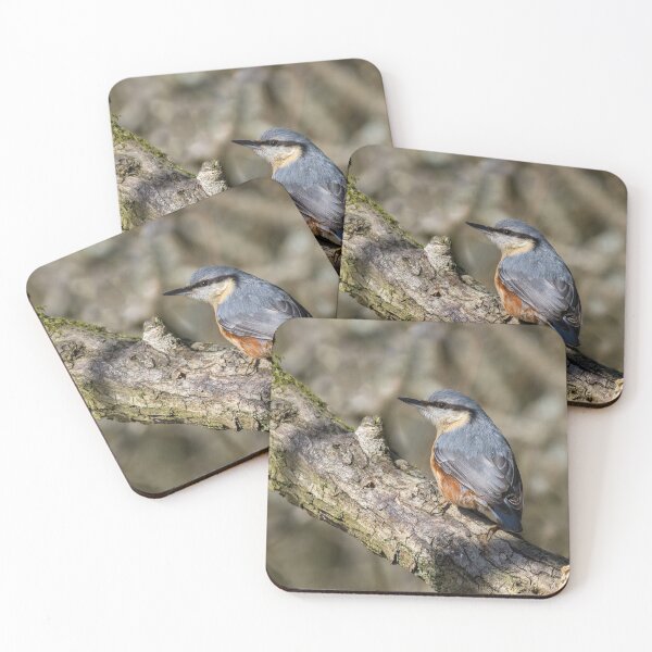 Item preview, Nuthatch bird designed and sold by iCimages.net.