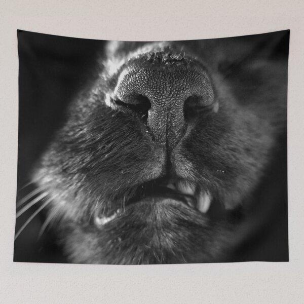 Item preview, Male cat designed and sold by Nico Oest.