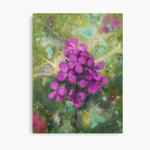 Lunaria Canvas Print
