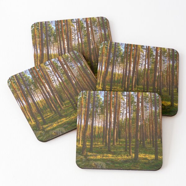 Item preview, Pine forest in the sunlight morning designed and sold by yarvin13.