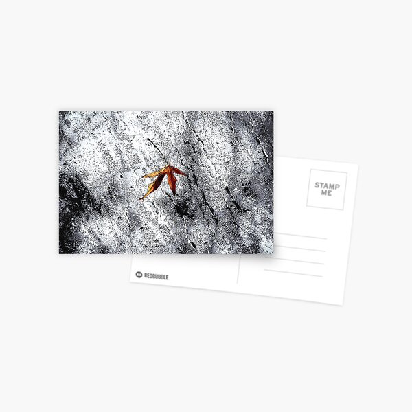 Rain Fall 2 Postcard