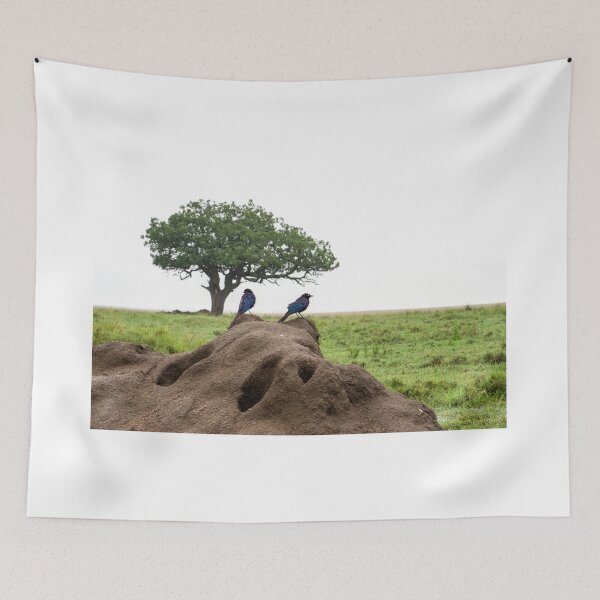 Item preview, superb starlings designed and sold by davidxgreen.