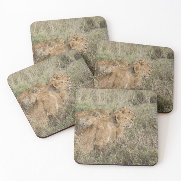 Item preview, lionesses poised to attack designed and sold by davidxgreen.