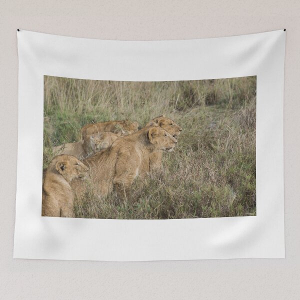 Item preview, lionesses poised to attack designed and sold by davidxgreen.