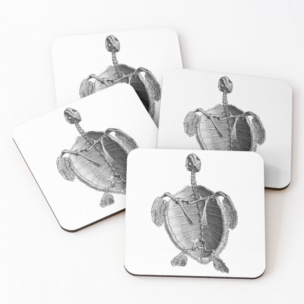 Item preview, Turtle Bones designed and sold by brewdar.