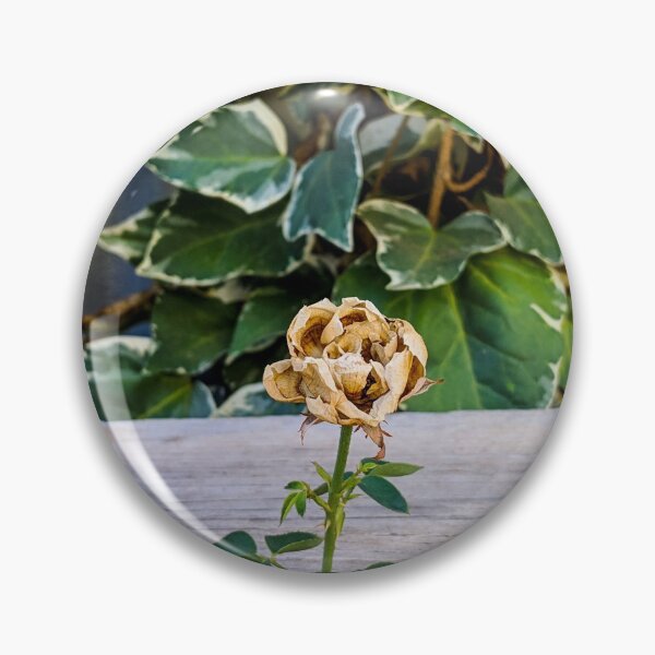Item preview, Crispy Dried Rose designed and sold by JASPA SWINNERTON.