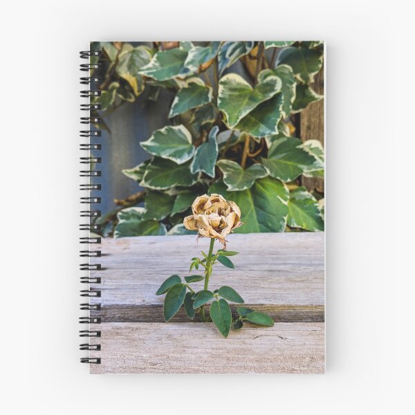 Item preview, Crispy Dried Rose designed and sold by JASPA SWINNERTON.