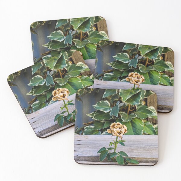 Item preview, Crispy Dried Rose designed and sold by JASPA SWINNERTON.