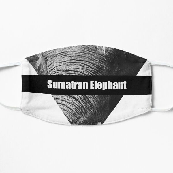 Sumatran Elephant Mask