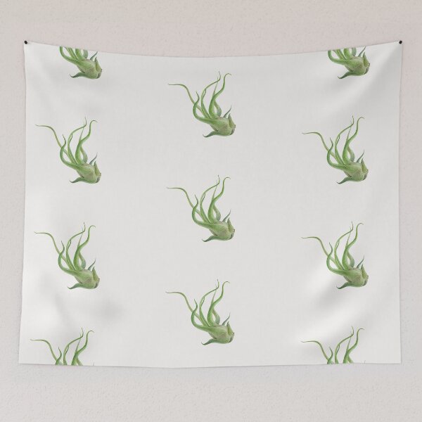 Item preview, Airlpant Tillandsia Medusa. Watercolor painting. designed and sold by Antonina Sotnikova.