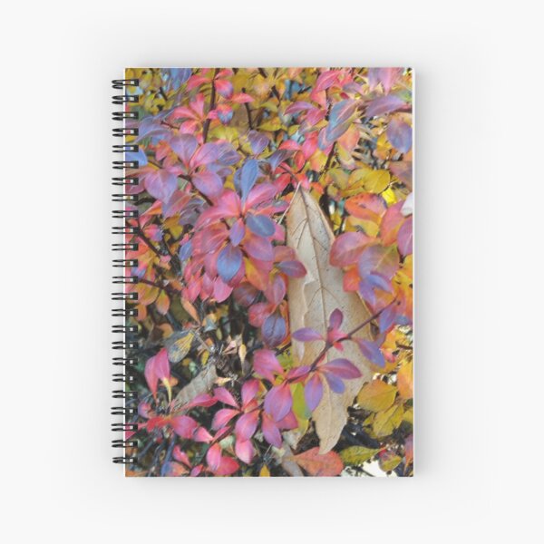 Item preview, colorful autumn designed and sold by feiermar.