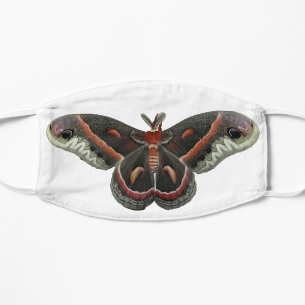 Cecropia Moth Mask