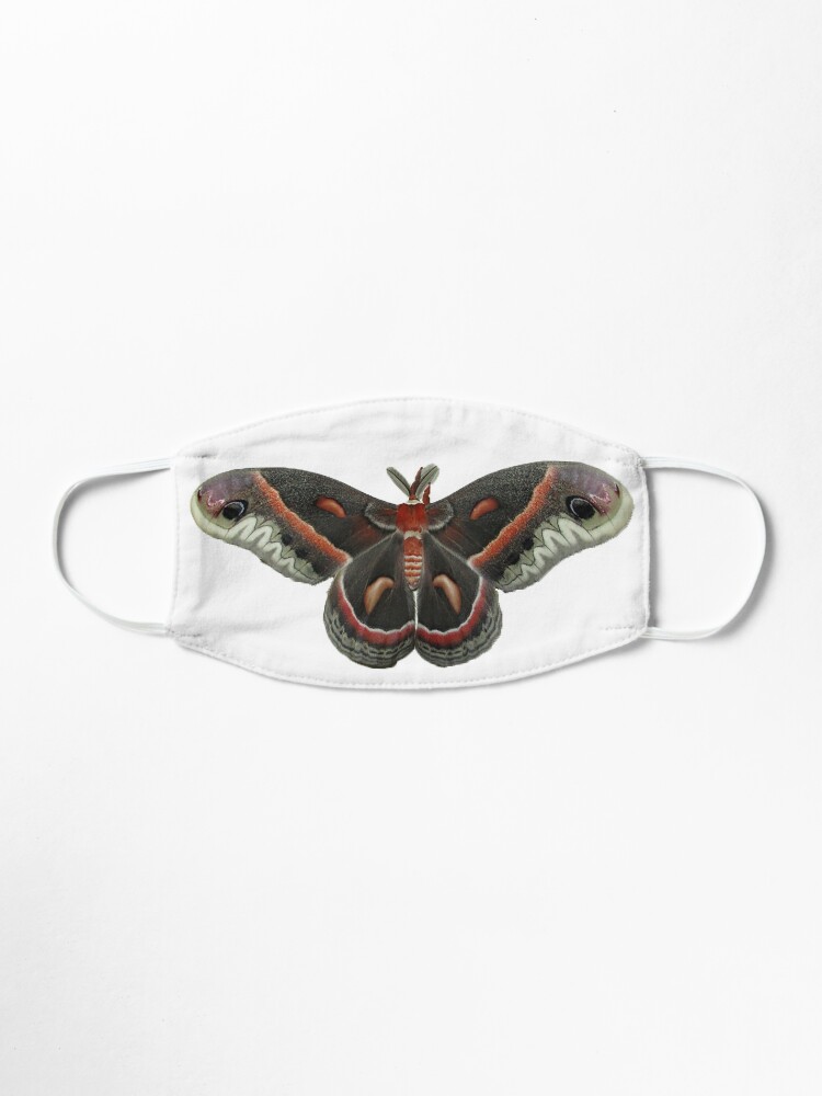 Alternate view of Cecropia Moth Mask