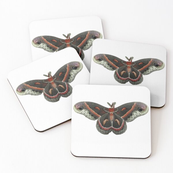 Item preview, Cecropia Moth designed and sold by mark-bugs-org.