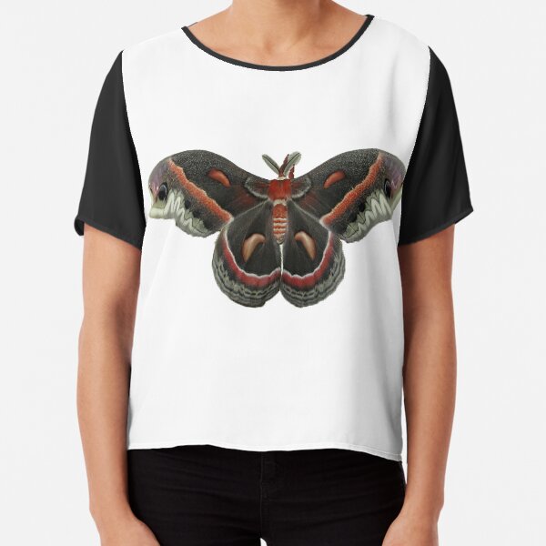 Cecropia Moth Chiffon Top